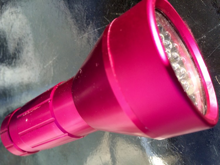 Flashlight photo take outside