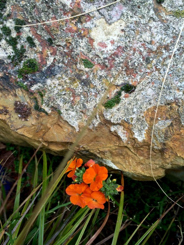 Can You Find My Heart