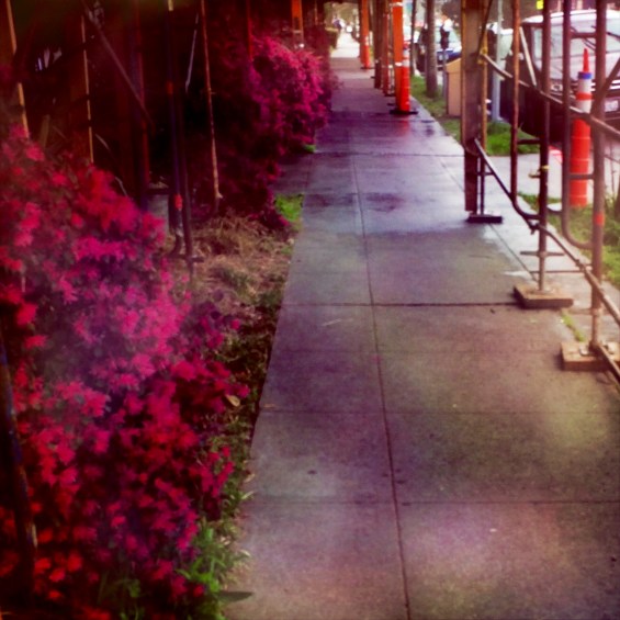 Everything Changes With Rain