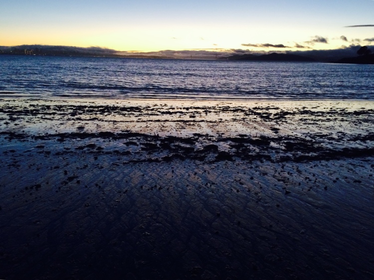 Very Low tide at Sunset