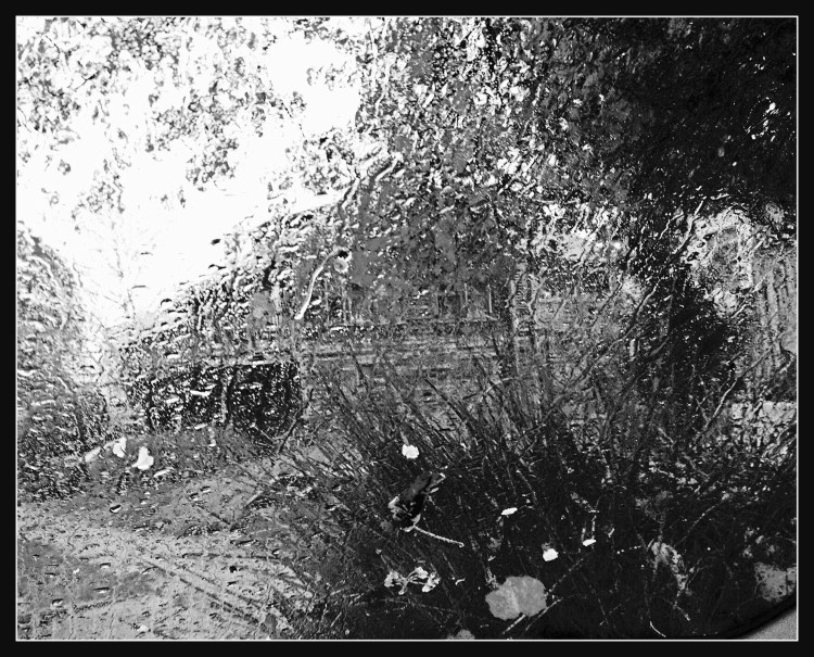 Rain on the windshield