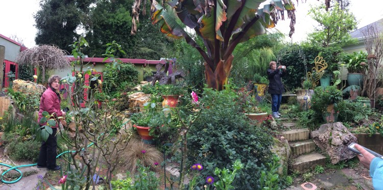Students Photographing the Magical Garden