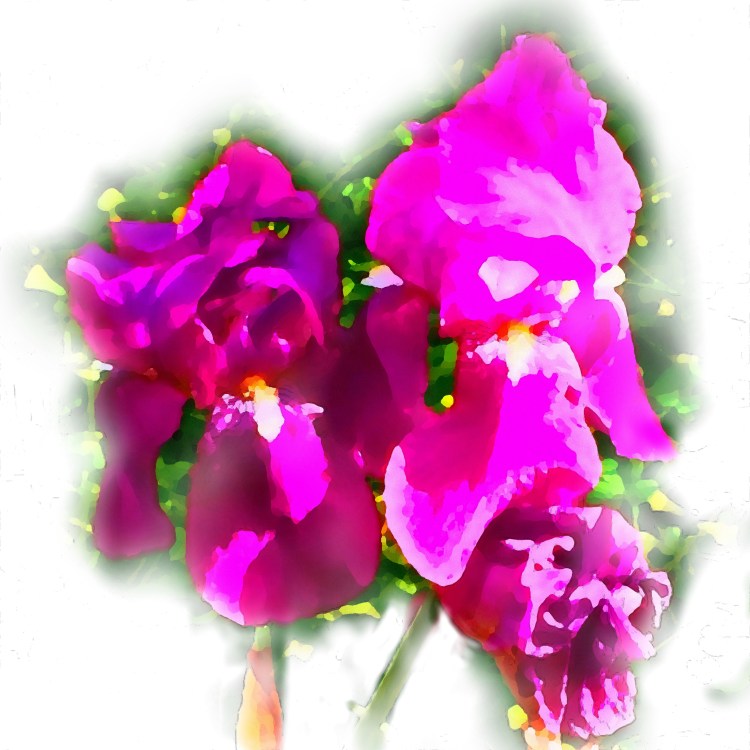 Painted with MobileMonet