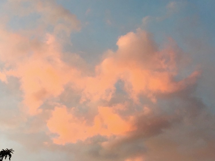 Elephant Sherbert Sky