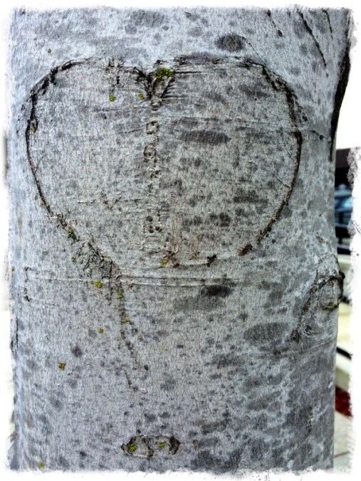 How do I love the world