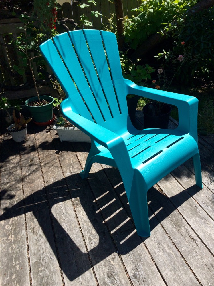 Welcome to My garden