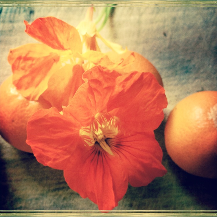 Nasturtiums and Tangerine 
