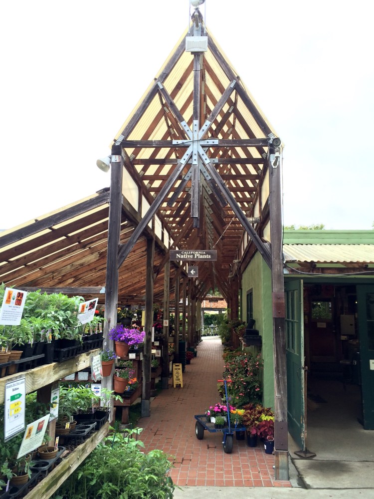 Chapel of the Annuals 