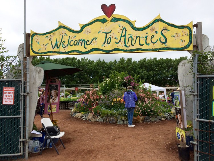 Whimsical Wonders Within