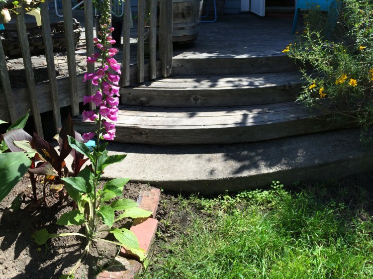 Camera Created Curve