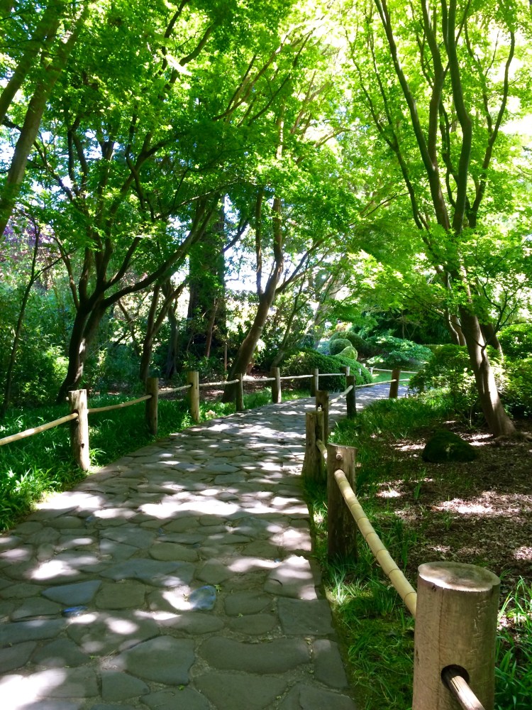 Path at Japanese Tea Garden