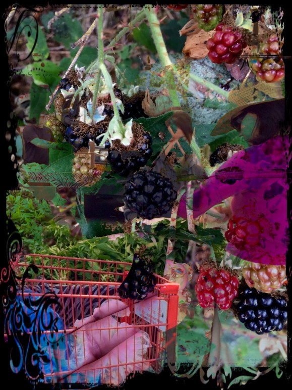 Farmes market and blackberry patch