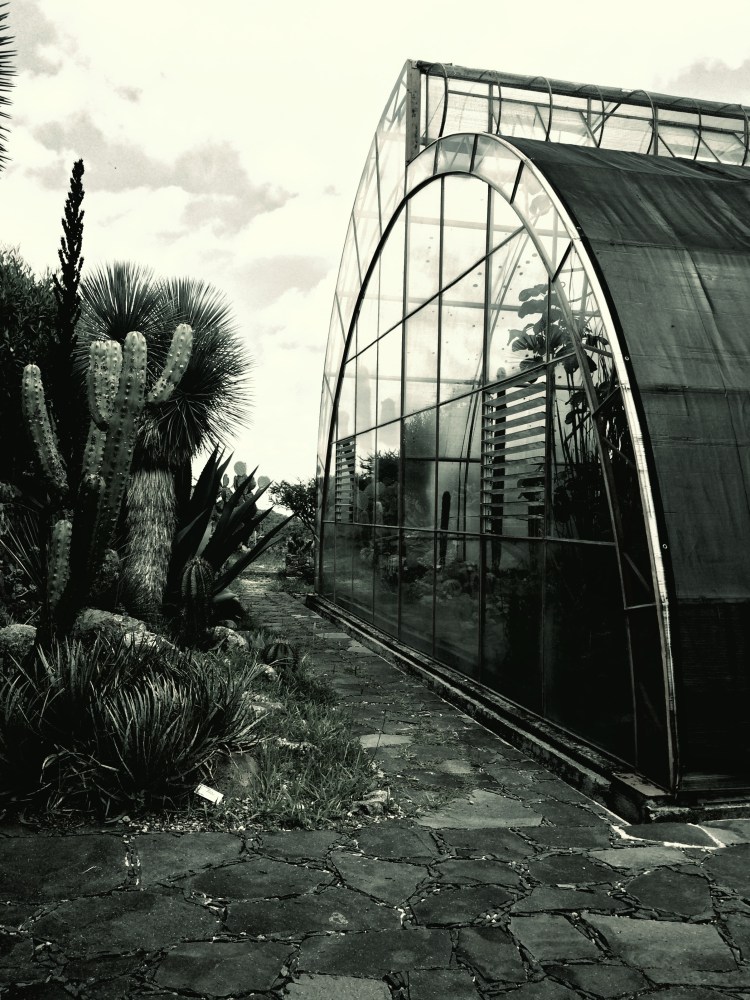 Desert Greenhouse 