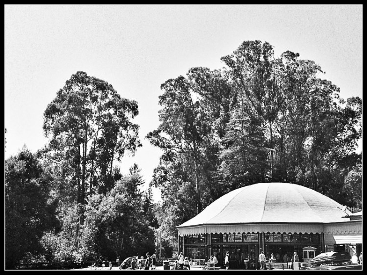Tilden Merry-Go-Round Beneath the trees