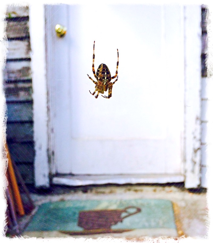 Between Me and the Garage Door