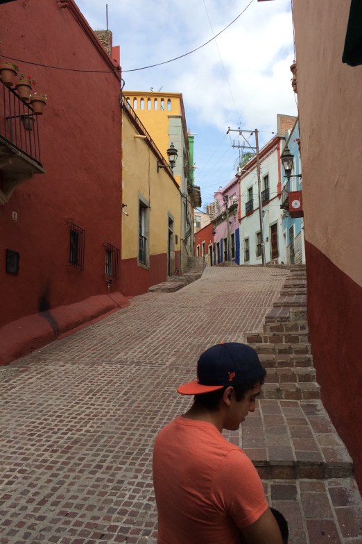 Dark Rose Walled street in Mexico