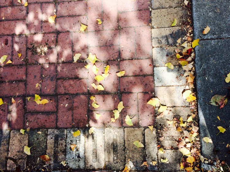 Red Brick s and yellow leaves