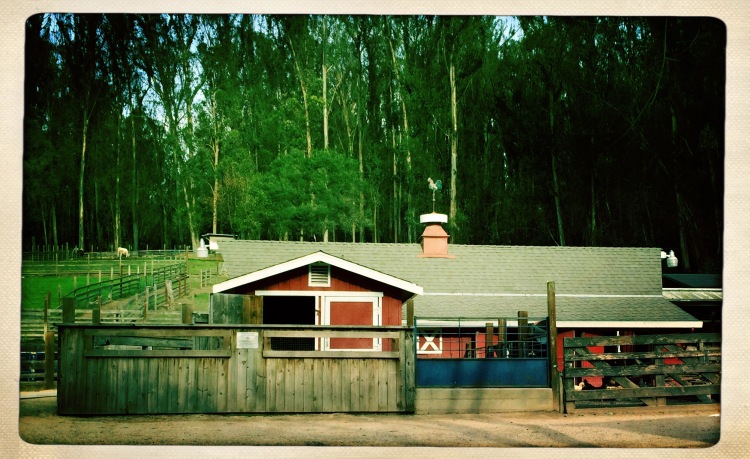 Tilden's Little Farm