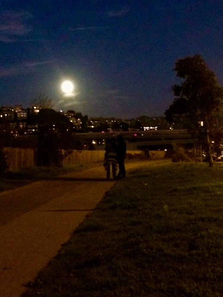 Path to Moon watching iPhone