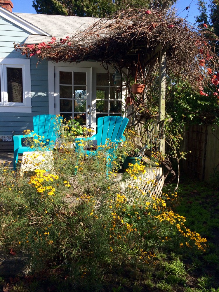 My Blue Chairs
