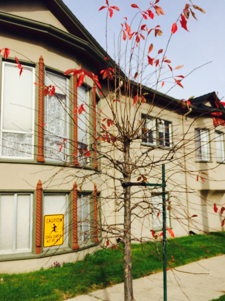 Charlie Brown Street Tree and Sign