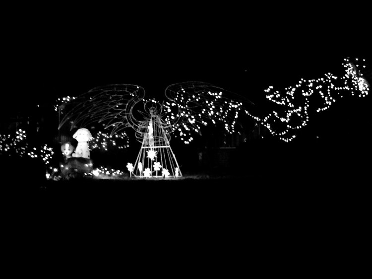 Strange Angel Lights