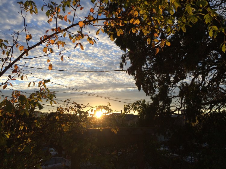 Solstice Sunrise on My Street