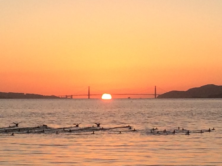 Taking flight New Years Eve