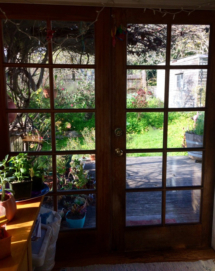 Looking out my Kitchen window