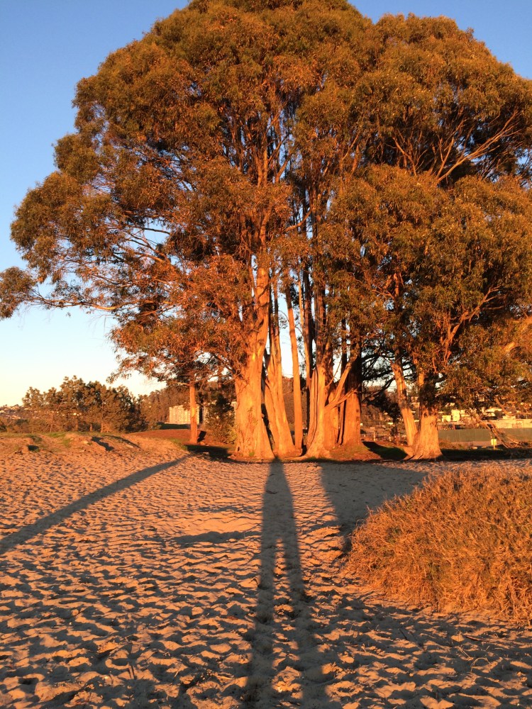 Longest Shadow 4:47 12/31/2015