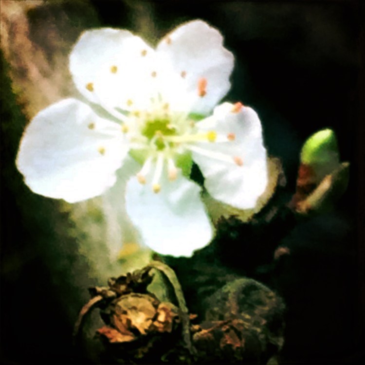 8aee4f39-1f56-4d98-9261-99f1fb2860e8