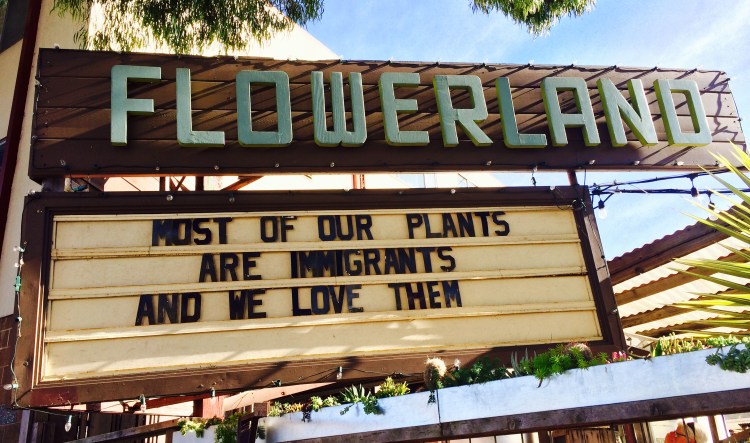 A Nursery with a message