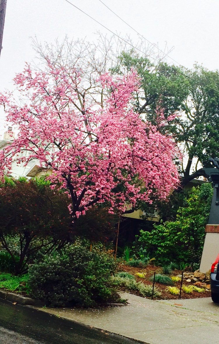 Why February is Favorite Month