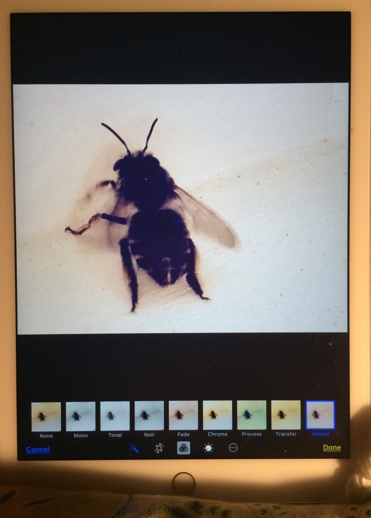 abaa04f4-914f-476b-a703-c08d5280db33