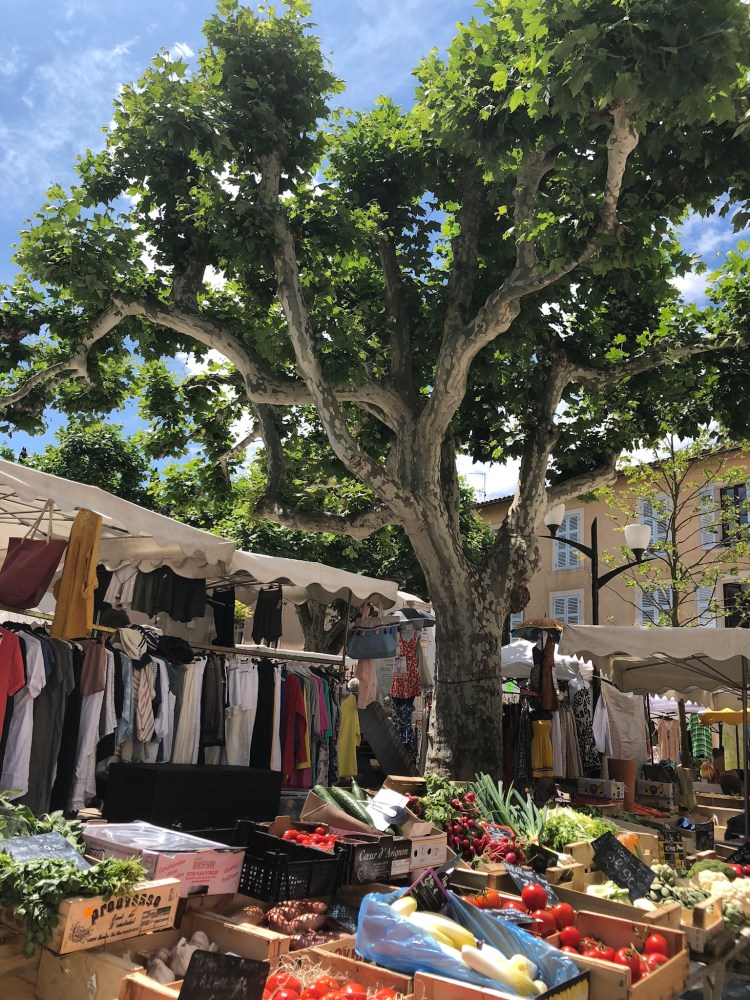 9A69D5B3-DC00-47E9-A5B4-0A262BC1D23F