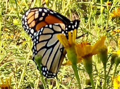 580B9AE3-8E37-424E-82B6-5B0246642C5D