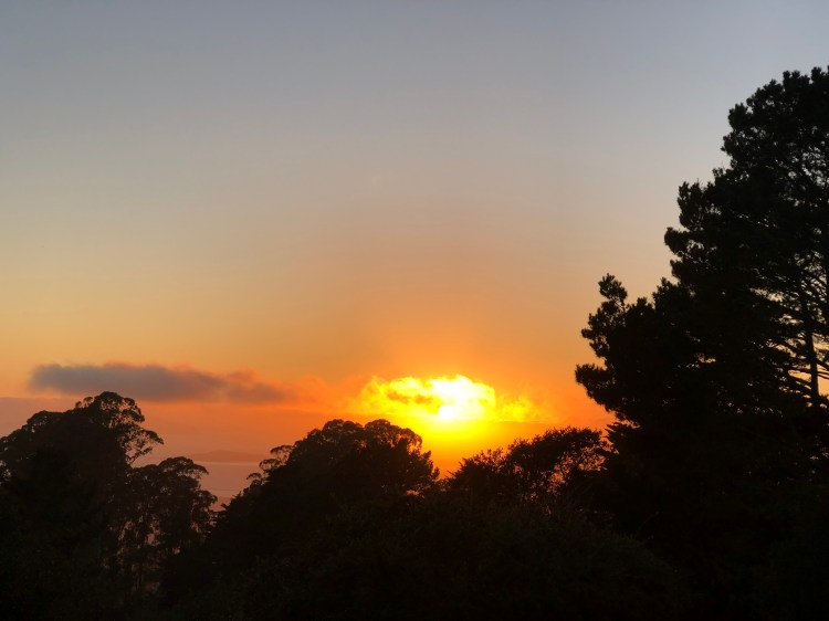 BFB0192C-EB00-408E-AFA4-BE58C7F3566F