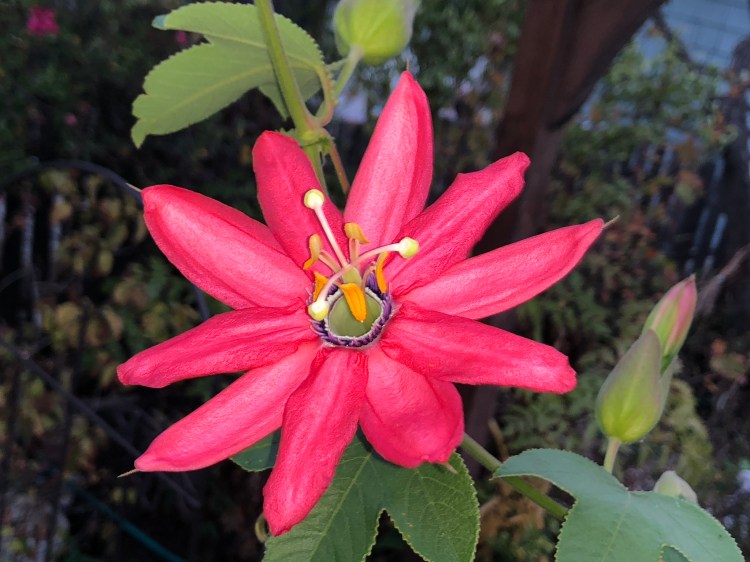 E8C8A64D-8E6B-40B3-B179-576F015F4C54