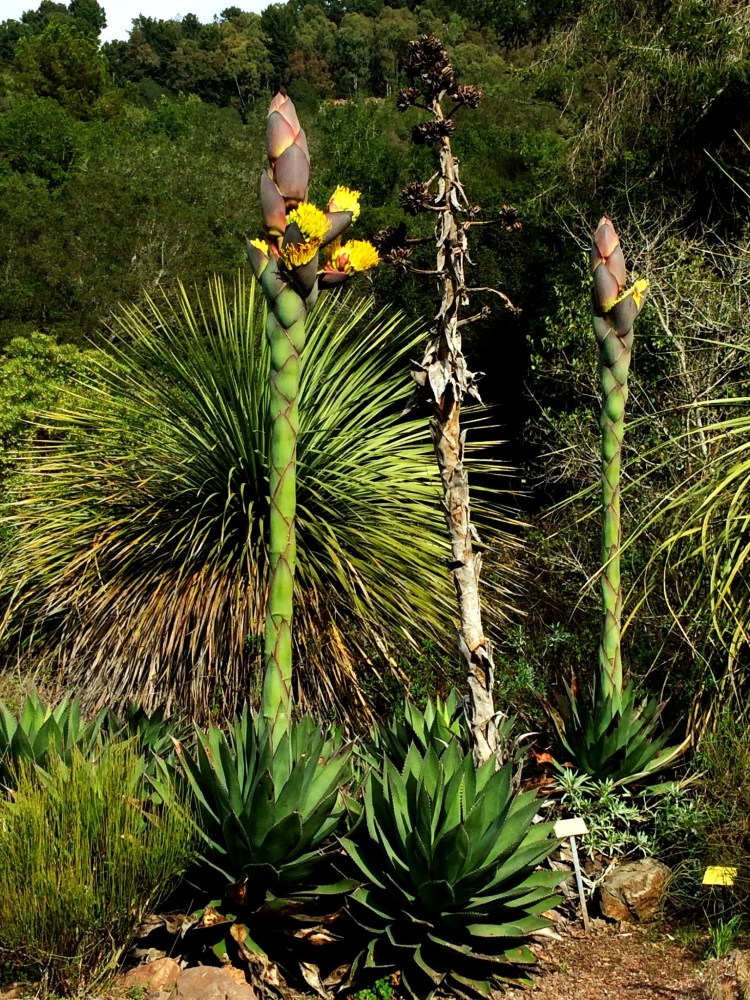 68D256FC-0B6C-4ABE-8F21-45A5D6E33883