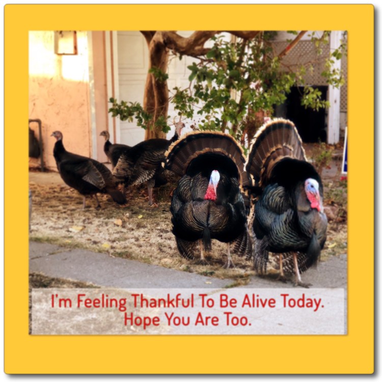 88A1C744-7E2C-499A-804C-E8B0B5BD226D