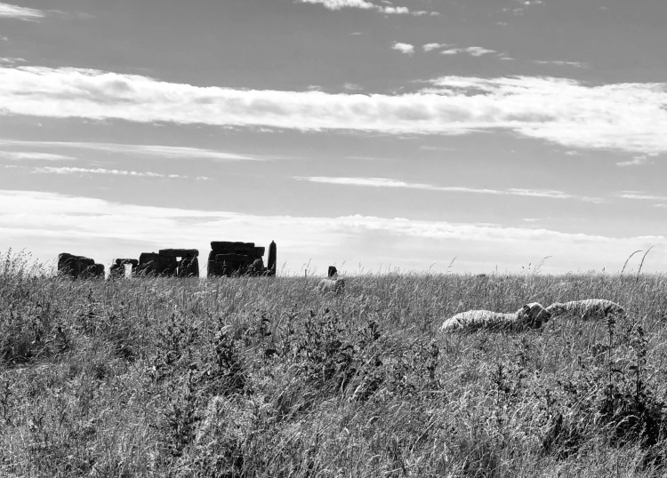 9BC68185-0440-428C-8BB0-695BCB7C9653