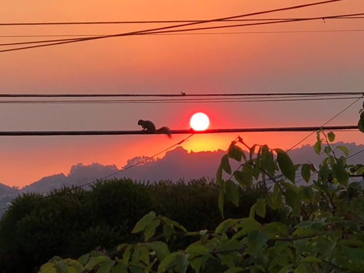 AD082D29-9128-4D30-939A-4D5C1E873B9B