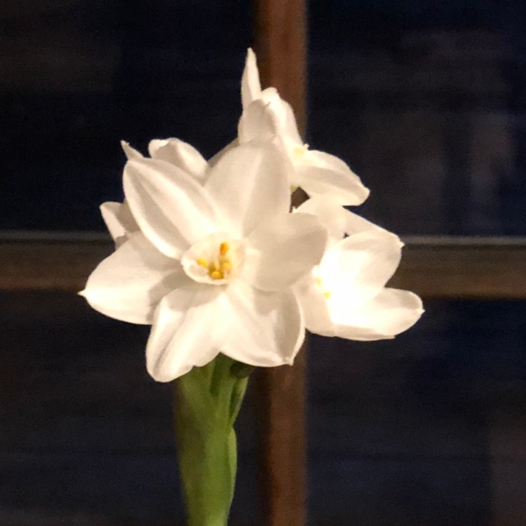 BB7EA7CE-6534-4C1C-9EC8-E340A57DAAFA