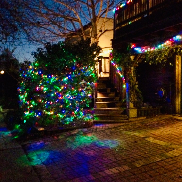 D120D9A6-2268-419E-9B6E-87D8F4717996