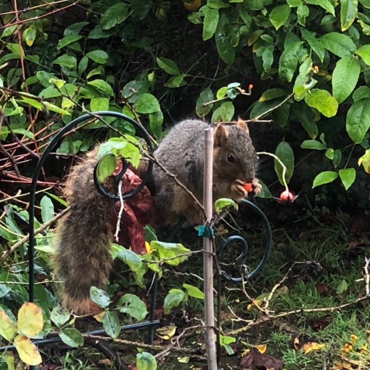 F60E6FB6-7CD7-474C-B2D8-E5798FEE6C70