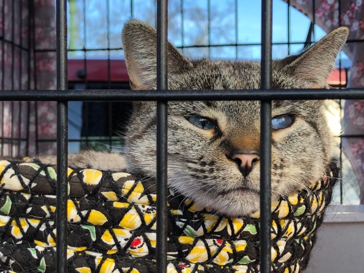 29916b92-ad66-4cfd-b5f2-109f2ad72e46