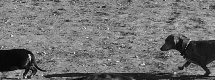 212E7EBC-D77A-42D0-BDFC-7CD694272992