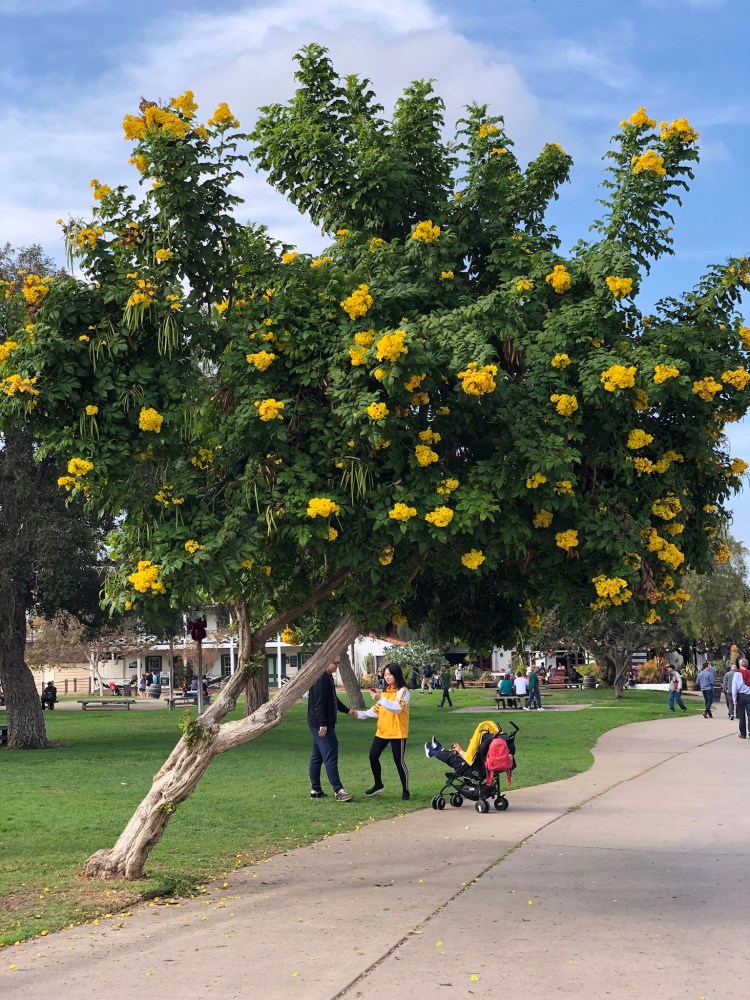 31A2BE32-54F1-4807-9A3F-227CEF59FD04