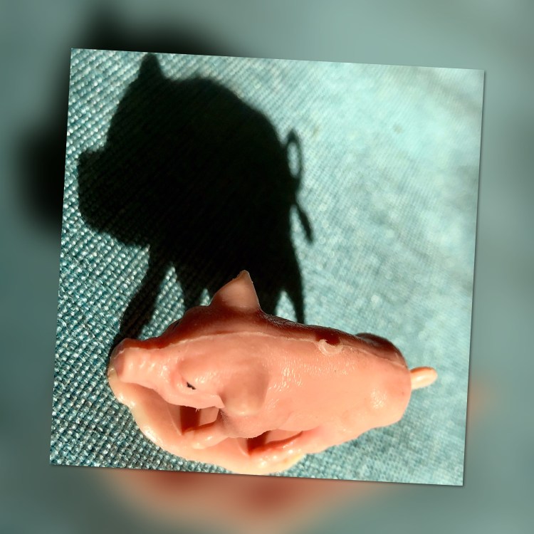 3459CF48-B3A3-4D1D-9743-8FFC41A572D7