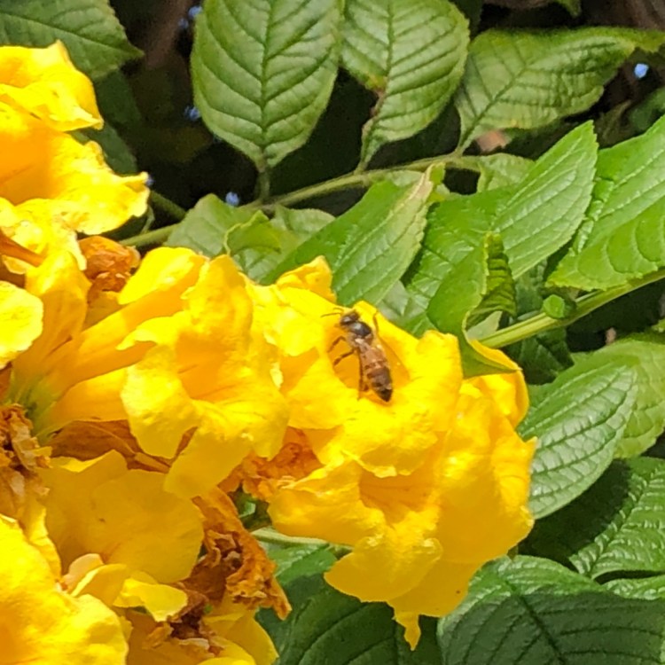 6675071A-7E20-4572-87CF-81C0B3D437B6